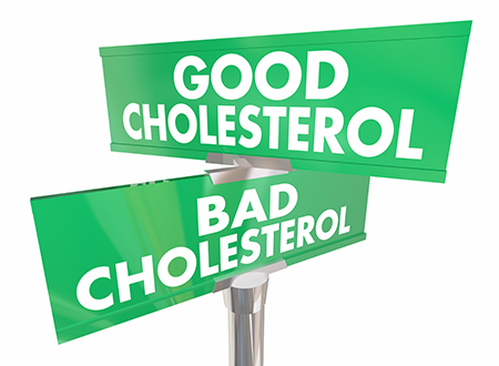 good vs bad cholesterol